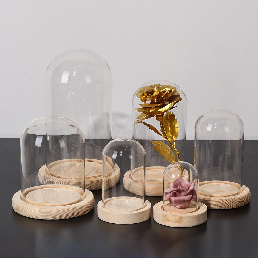 Home Decor Plants Jar Terrariu - Home Decor Flowers ulasan dan harga
