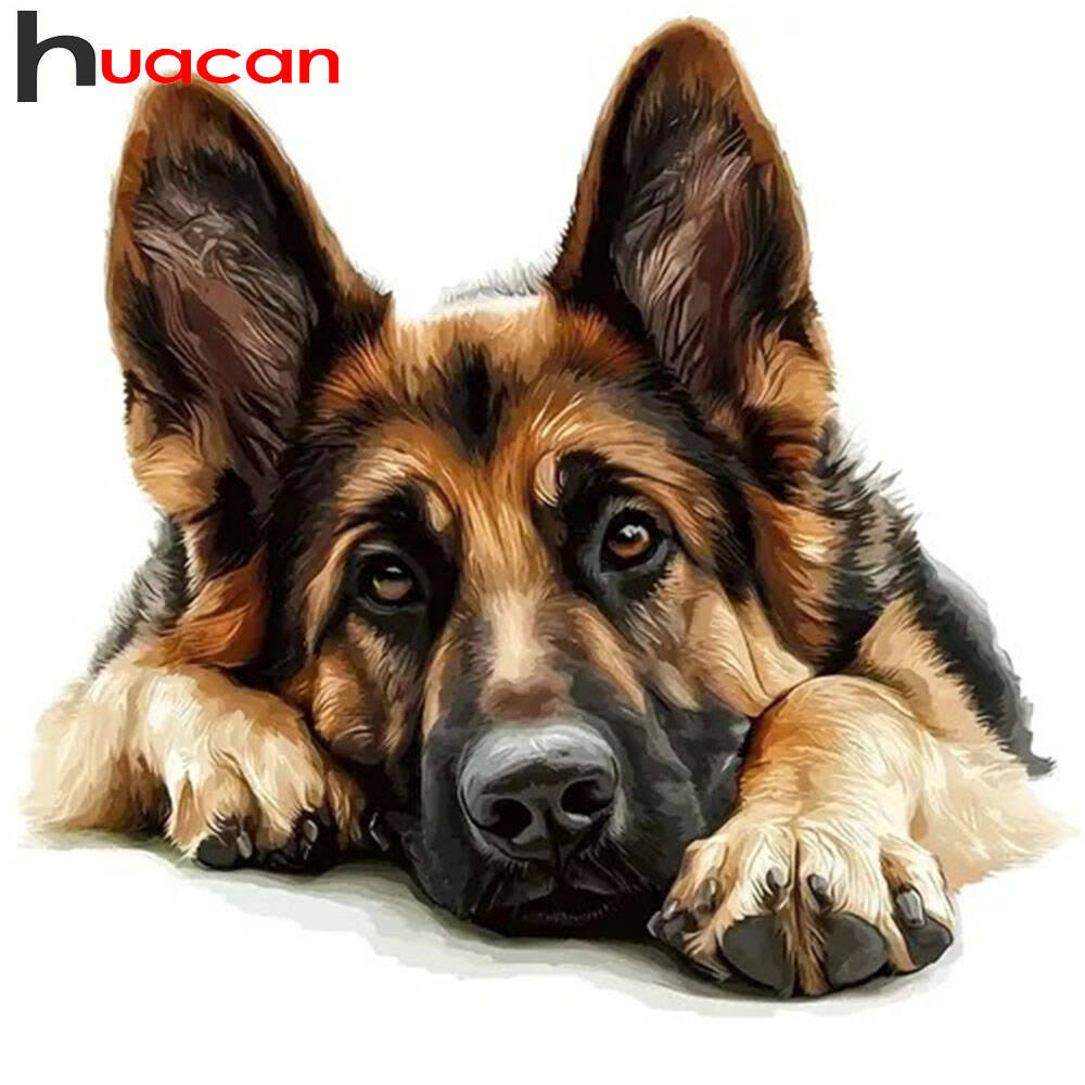 Huacan Diamond Painting German - Germany Home Decor ulasan dan harga