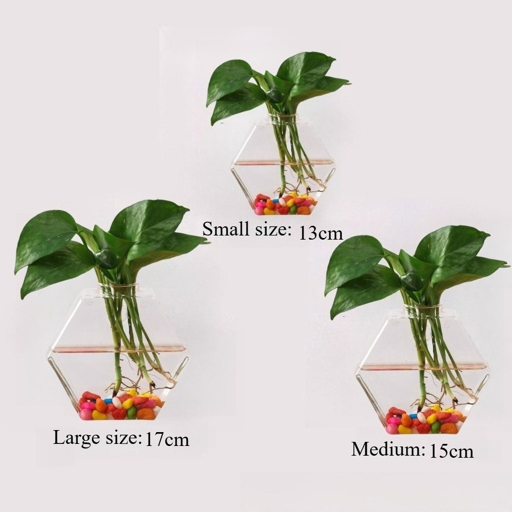 Creative Irregular Hanging Hyd - Glass Vase Nordic ulasan dan harga