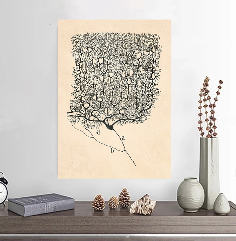 Santiago Ramon Y Cajal Neuron  - Watercolor Poster Print ulasan dan harga