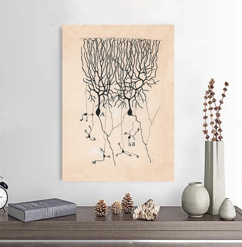 Santiago Ramon Y Cajal Neuron  - Watercolor Poster Print ulasan dan harga